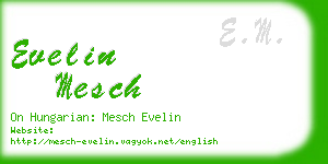 evelin mesch business card